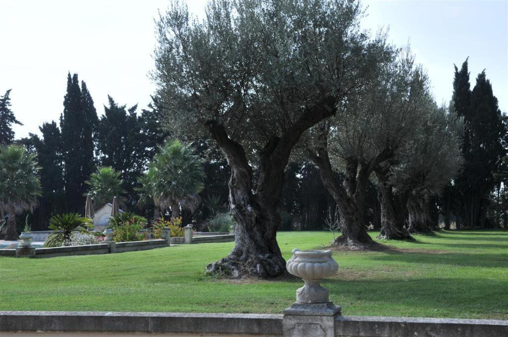 Domaine Du Grand Malherbes เอมาร์กส์ ภายนอก รูปภาพ